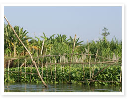 オーガニック認定とはイメージ